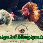 Situs Agen Judi Sabung Ayam Online
